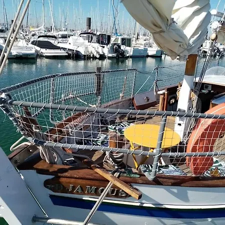 Superbe Vieux Greement A La Rochelle *