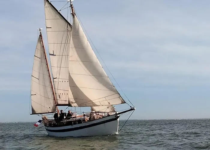 Superbe Vieux Greement A La Rochelle